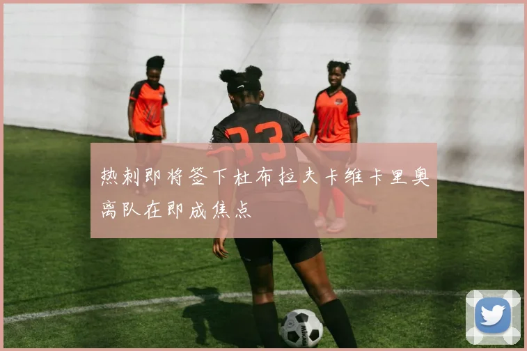 热刺即将签下杜布拉夫卡维卡里奥离队在即成焦点