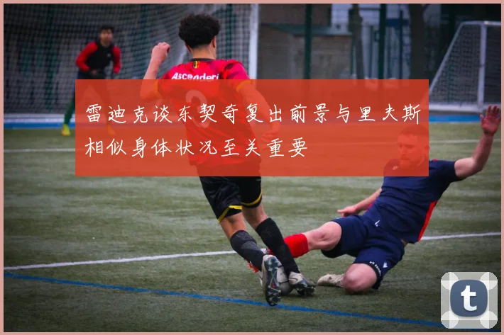 雷迪克谈东契奇复出前景与里夫斯相似身体状况至关重要