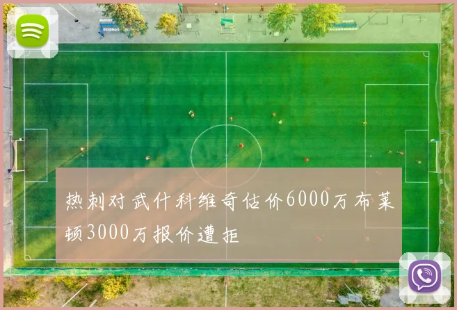 热刺对武什科维奇估价6000万布莱顿3000万报价遭拒