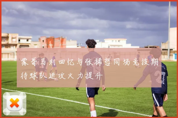 蒙哥马利回忆与张稀哲同场竞技期待球队进攻火力提升