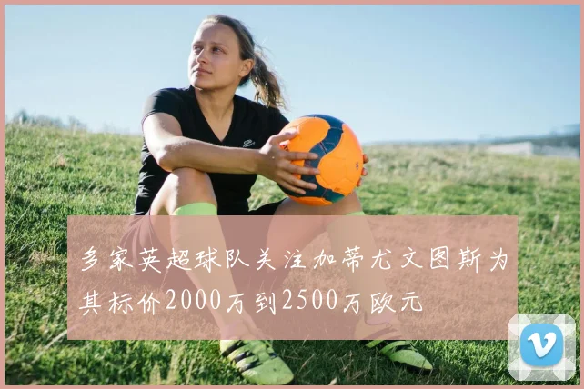 多家英超球队关注加蒂尤文图斯为其标价2000万到2500万欧元